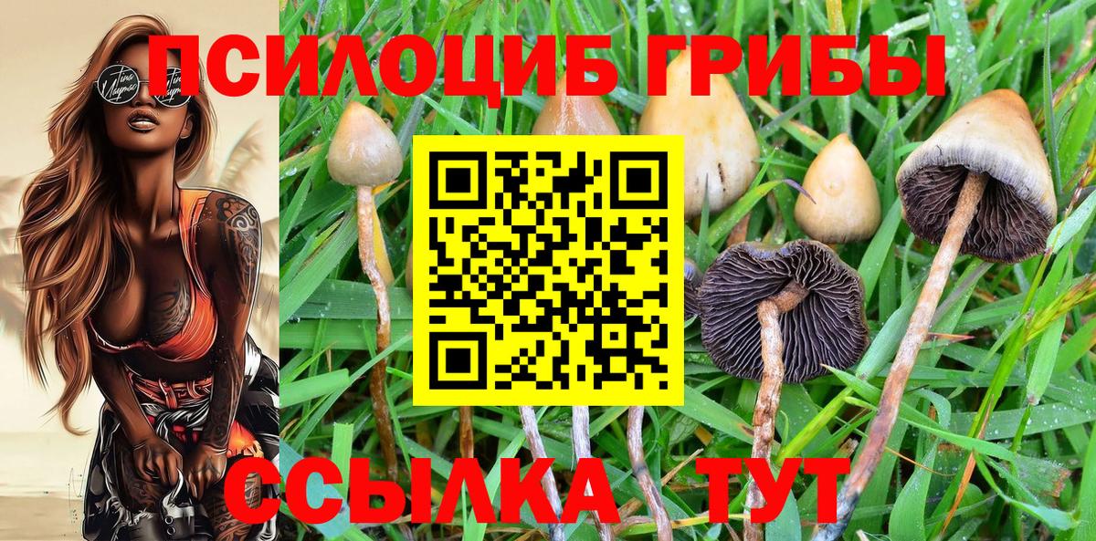 Псилоцибиновые грибы GOLDEN TEACHER Дюртюли