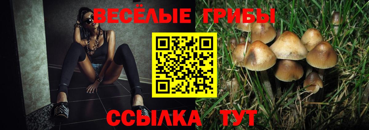 Галлюциногенные грибы ЛСД  Псилоцибиновые грибы Cubensis  Вход с VPN  Дюртюли 